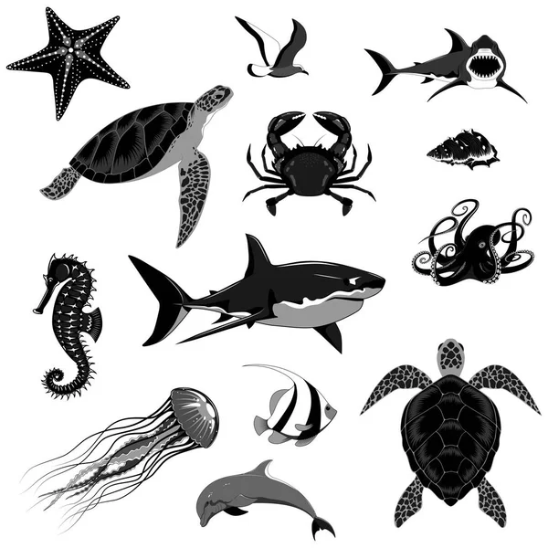 Conjunto Animales Marinos Imagen Vectorial Monocromática Tiburones Tortugas Delfines Cangrejos — Archivo Imágenes Vectoriales