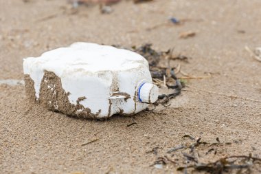 Plastik şişe çöp sahilde