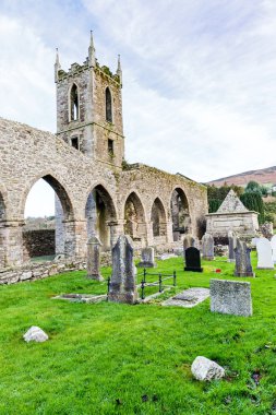  Baltinglass abbey İrlanda