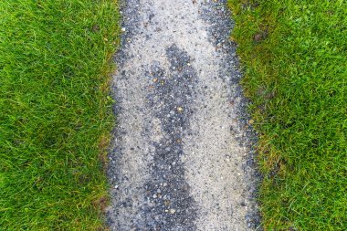 Gri çakıl ve yeşil çim desen