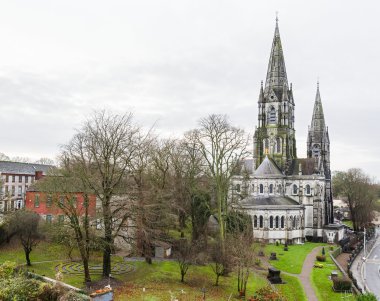 Saint Fin Barre'nın Katedrali