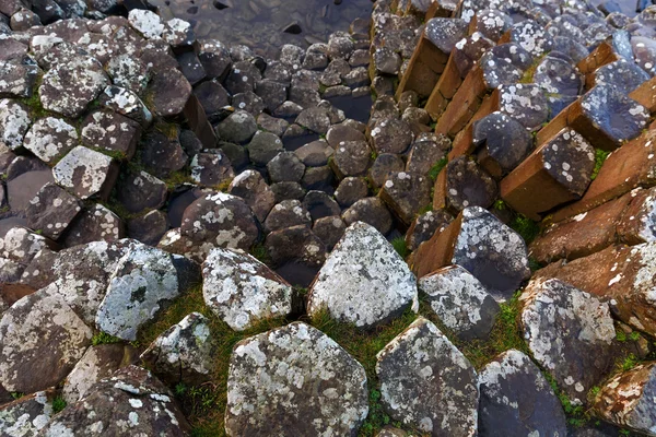 Čedičové sloupce Giants Causeway — Stock fotografie