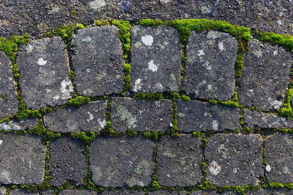 Texture du chemin de pierre — Photo