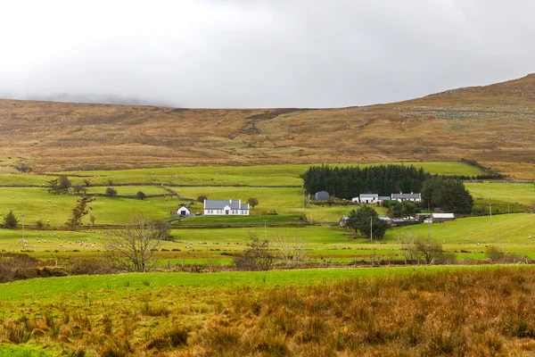 Paisagem irlandesa no inverno — Fotografia de Stock