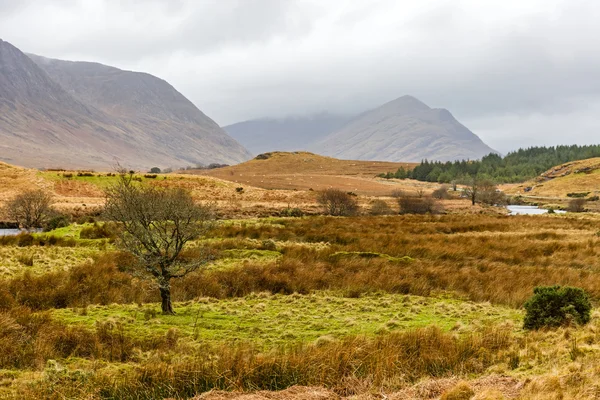 Paisaje irlandés en invierno —  Fotos de Stock