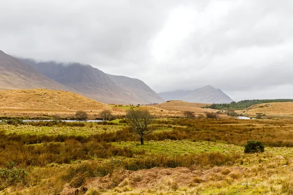 Paysage irlandais en hiver — Photo