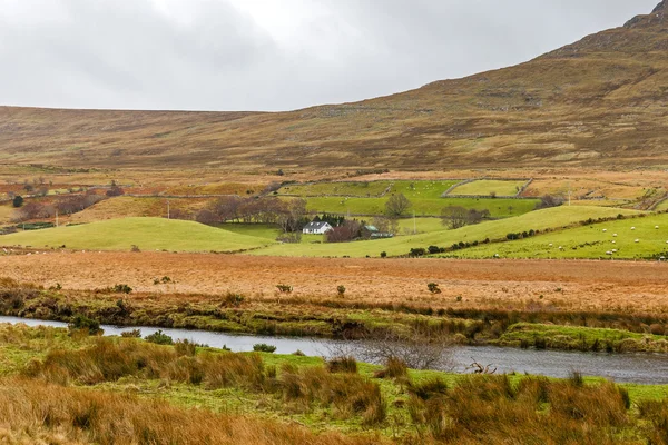 Paisagem irlandesa no inverno — Fotografia de Stock