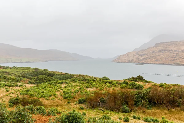 Vackert landskap i Connemara Irland — Stockfoto