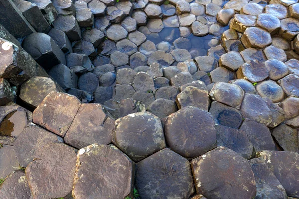 Colonnes de basalte de la Chaussée des Géants — Photo