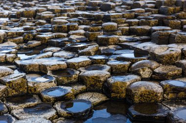 Basalt columns of Giants Causeway clipart