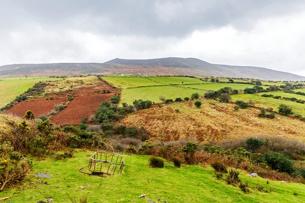Beau paysage irlandais — Photo