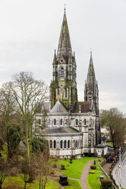 Saint Fin Barre'nın Katedrali