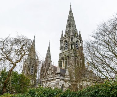 Saint Fin Barre'nın Katedrali