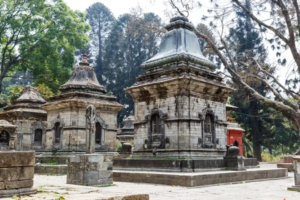 Pashupatinath Hindular kutsal yer