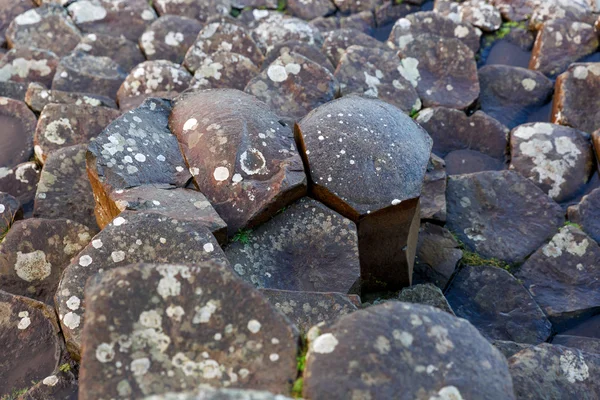 Bazaltowe kolumny Giants Causeway — Zdjęcie stockowe