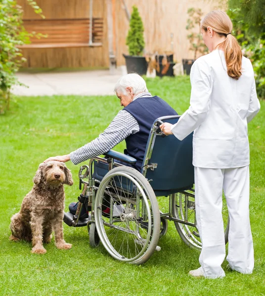 Ouderenzorg — Stockfoto