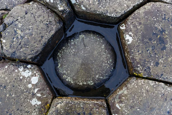 Steiner ved Giants Causeway – stockfoto