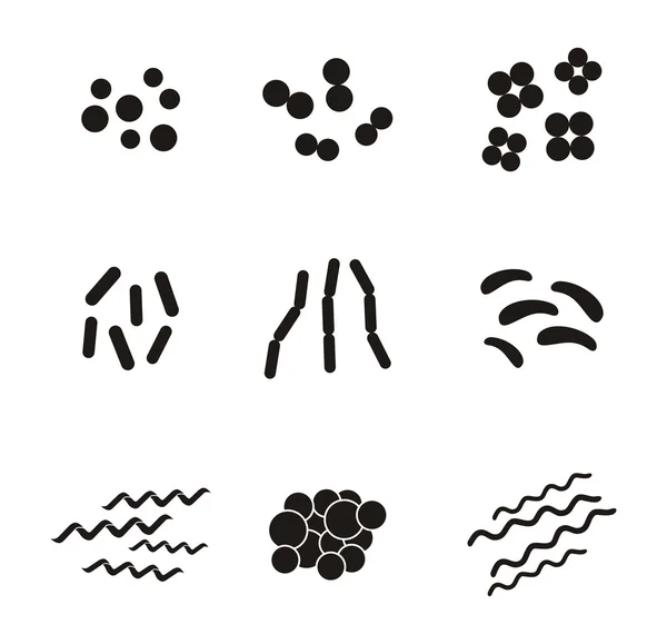 Forme di batteri - pittogramma — Vettoriale Stock