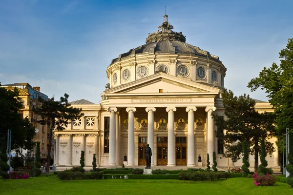 Bükreş Romanya athenaeum