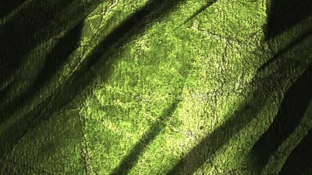 Grunge vert fond mouvant 