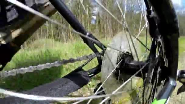 Vista detallada de un sistema de engranajes de una bicicleta de montaña. Ciclismo en el foreste sobre grava — Vídeos de Stock