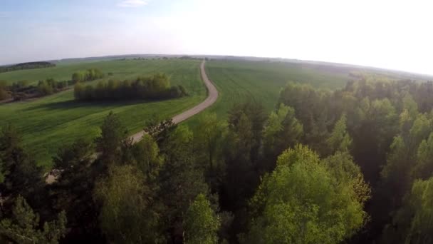 Voando sobre a floresta e o campo. Estrada de campo saindo à distância — Vídeo de Stock