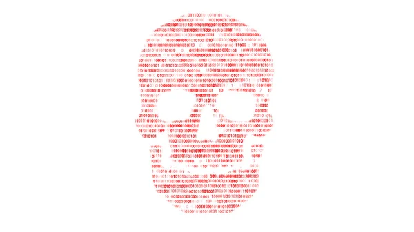 Concept de sécurité informatique. Le crâne du code hexadécimal. Pirate en ligne. Des cyber-criminels. Les pirates ont craqué le code . — Photo