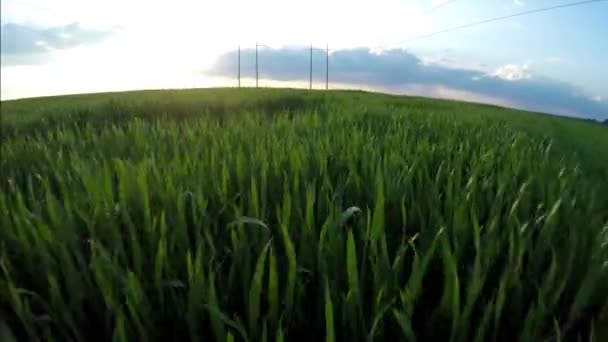 Voar sobre as linhas de energia. Voando sobre um campo agrícola — Vídeo de Stock