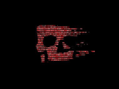 Güvenlik kavramı. İkili kod kafatası. Korsanlık Internet üzerinde