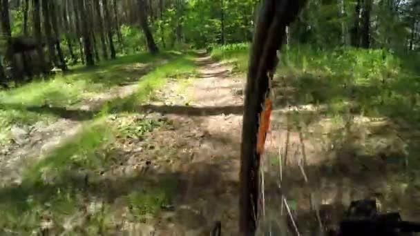 Cycling through the forest. View of the rear wheel — Stock Video