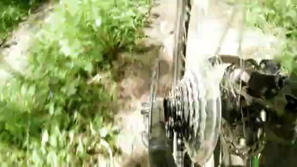 Cycling through the forest. View from the rear wheel cassette gear, Time lapse — Stock Video