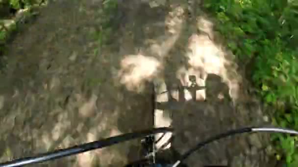 Andar de bicicleta pela floresta com vista para o volante. Desfasamento temporal — Vídeo de Stock