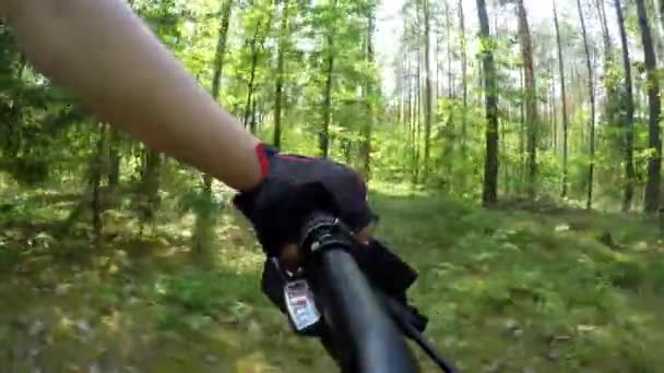 Mãos no guiador. condução de bicicleta — Vídeo de Stock