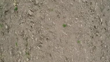 Kuru zemin. Uçan toprak işleme alanın üzerinde. Ölü zemin