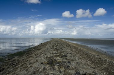 Eski baraj, düşük tide Kuzey Denizi üzerinde