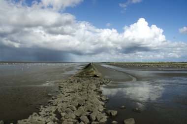 Groynes düşük gelgit sırasında Kuzey Denizi plaj