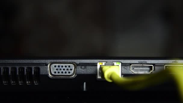 Cable de red conectado a un ordenador portátil. Cierre el cable Ethernet en el portátil. El movimiento de la cámara de vídeo — Vídeos de Stock