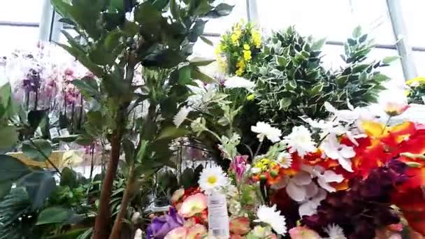 Loja de flores — Vídeo de Stock