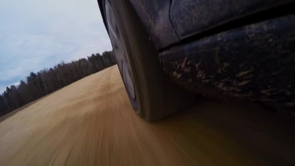 Колеса автомобіля в бруді в лісі, поза дорогою. Водіння по сільській дорозі. Вид ззовні автомобільної кабіни. ПОВ — стокове відео