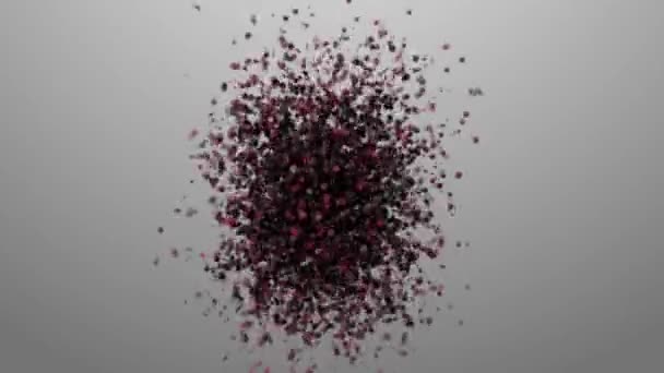 Chaos částic Roy hmyz, roj. Chaotický pohyb atomů — Stock video