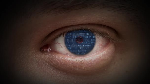 Cyborg. der Code in den Augen. — Stockvideo