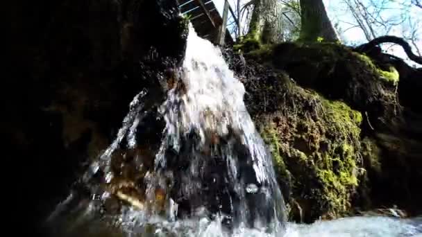 Wasserfall aus reinem Süßwasser im Wald. Heilige Quelle — Stockvideo