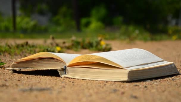 The book is lying on the ground. The wind turns the pages — Stock Footage The book is lying on the ground. The wind turns the pages Royalty Free Stock Footage