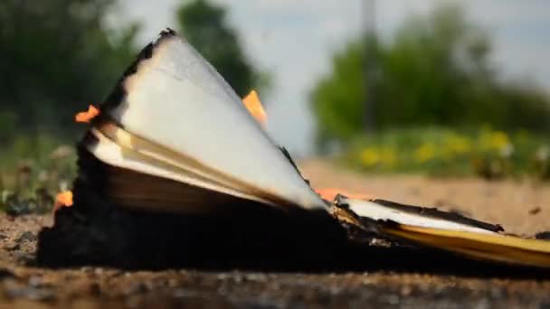 Libro ardiendo en el suelo. El viento hojea la página del libro — Vídeo de stock