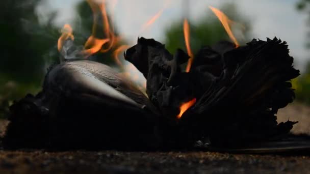 Libro ardiendo en el suelo. El viento hojea la página del libro — Vídeo de stock