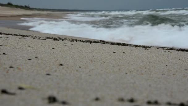 Grandes vagues sur la plage de la flèche de Courlande. Tempête sur la mer . — Video