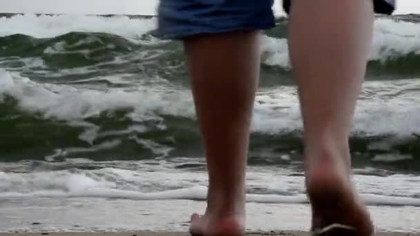 Большие волны на пляже Куршской косы. Шторм на море . — стоковое видео