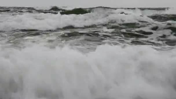 Große Wellen am Strand der Kurischen Nehrung. Sturm auf dem Meer. — Stockvideo