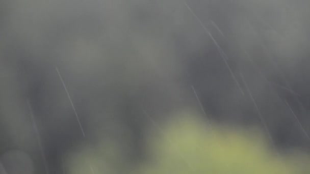 Gros plan d'une forte pluie 