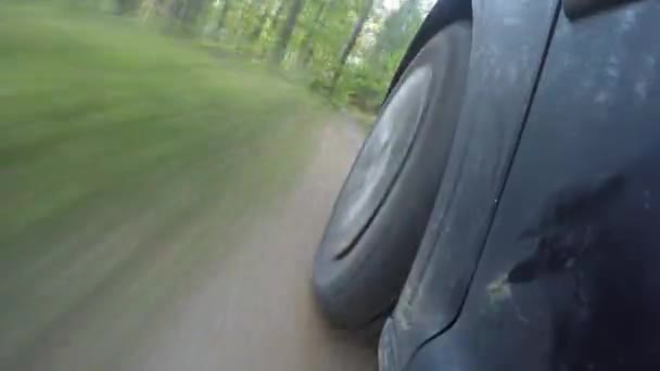 汽车穿过森林。在国家公园的森林道路。时间流逝 — 图库视频影像